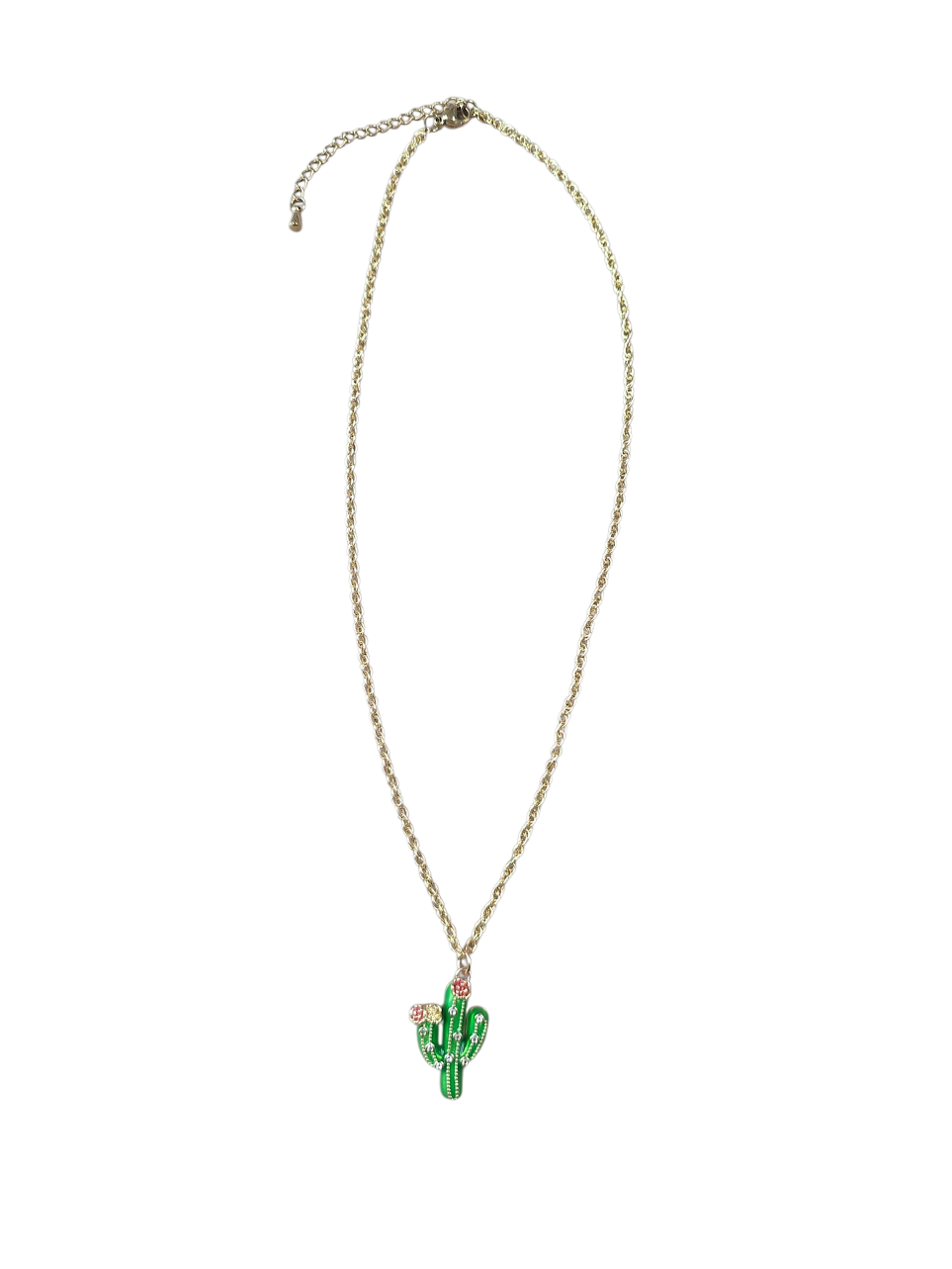 Desert Cactus Twist Chain Necklace NC-SJ0470