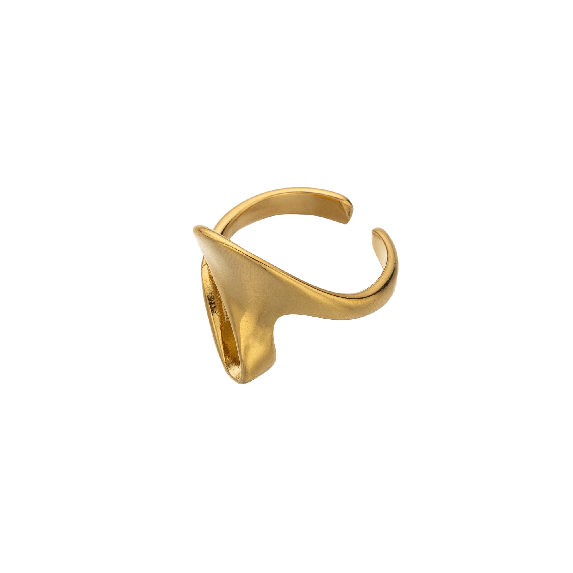 Gold Bold Stainless Steel Gilded Adjustable ✦ RI-0062