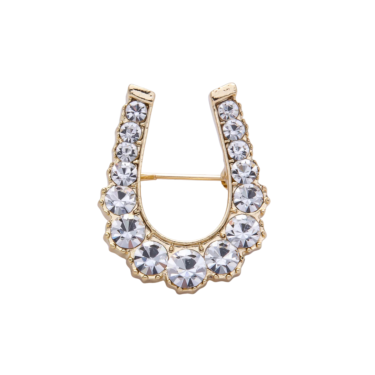 Gold Diamond Horseshoe Gradient Crystal Brooch Pin BH-21BH043