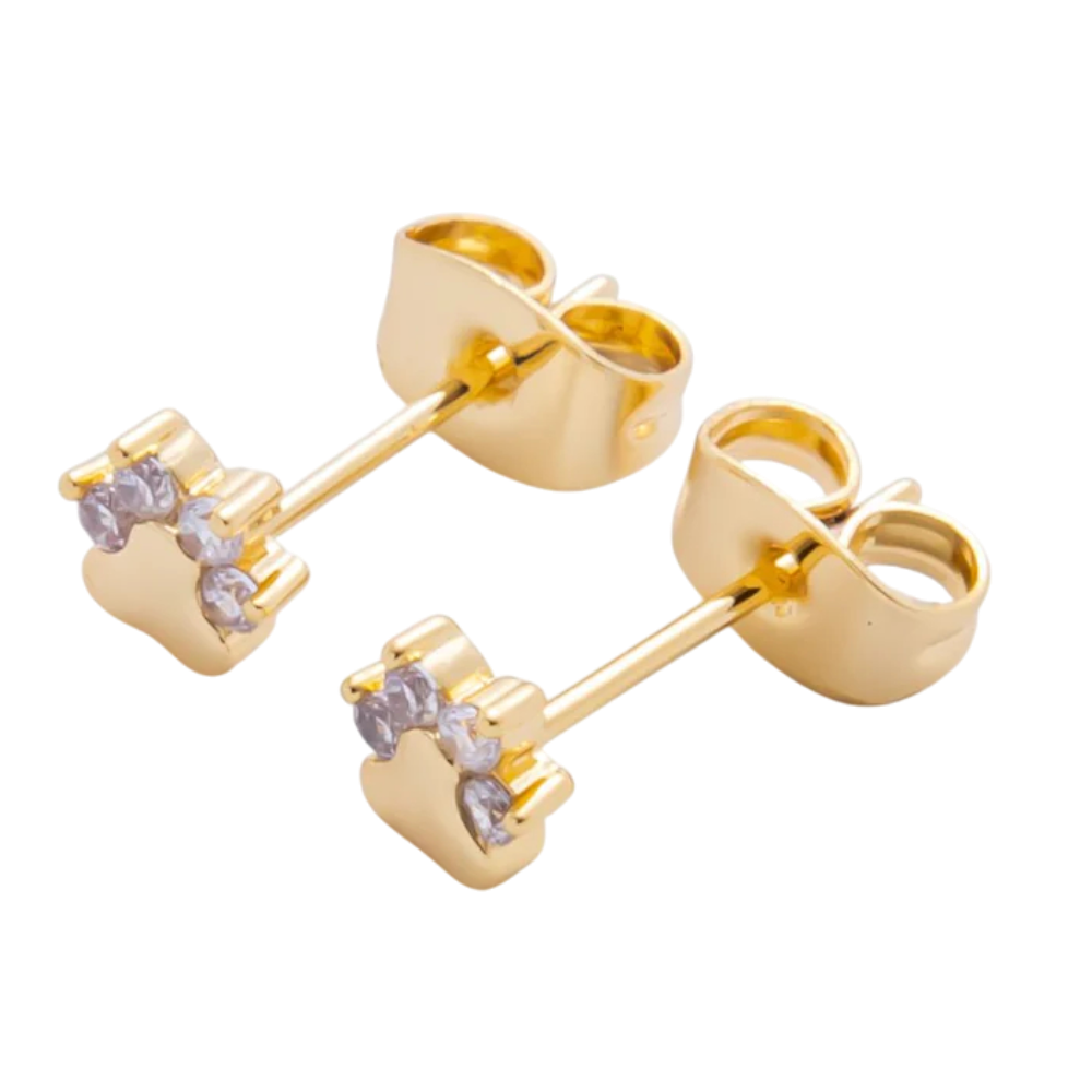 Clear CZ Pet Paw Print Dainty Stud Earring EA-21AJ273